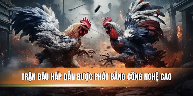 Trận đấu hấp dẫn được phát bằng công nghệ cao.